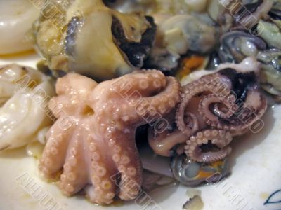 Seafood on the plate