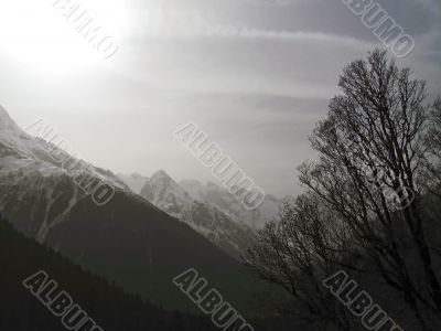 Mist, sun and tree over the mountain