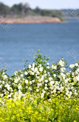View of Finland Gulf 