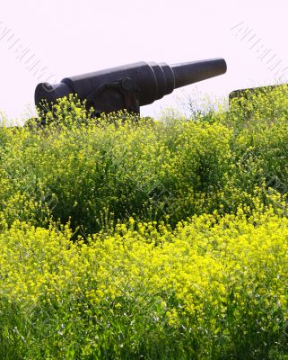 Old Russian Cannon in Suomenlinna 