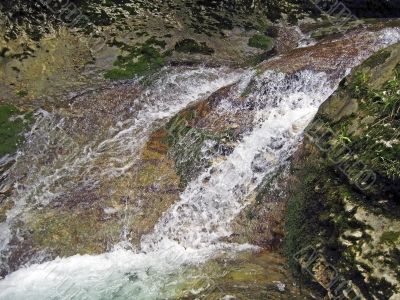 Waterfall in the forest flow