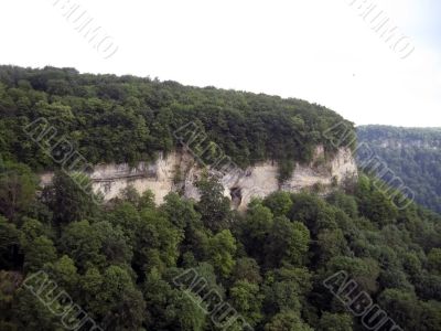 Green forest on the rock