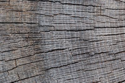 torn wood