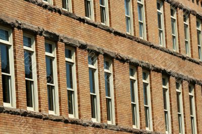 Rows of windows on a building