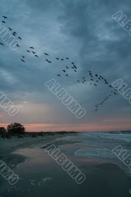 Autumn on the beach