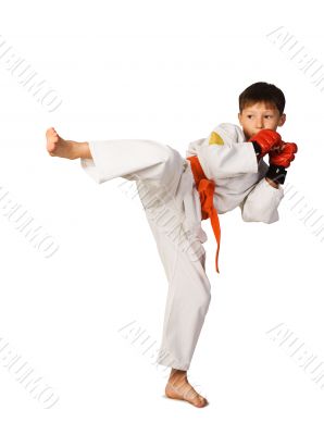 Aikido boy.Martial Arts