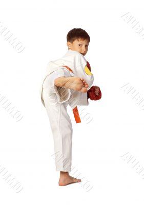 Aikido boy.Martial Arts
