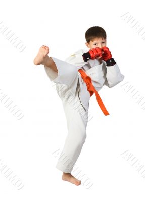 Aikido boy.Martial Arts