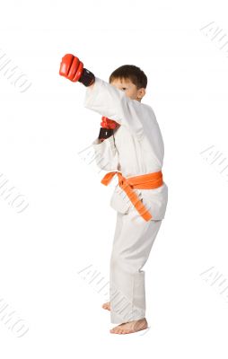 Aikido boy.Martial Arts