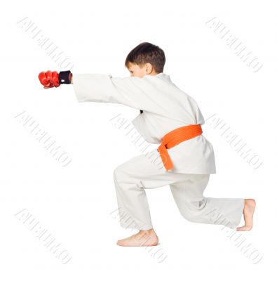 Aikido boy.Martial Arts