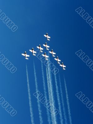 Snowbirds Demonstration Team