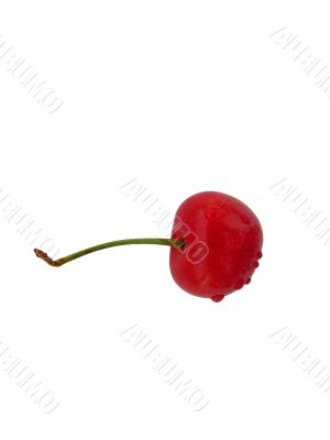 Wet cherry