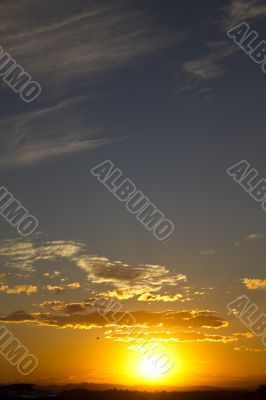 Sunset with bird silhouette