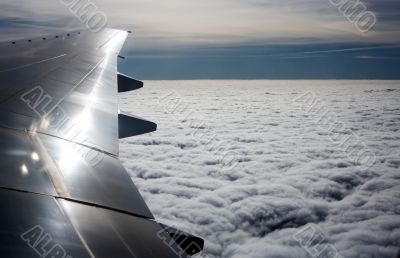 Wing of the plane 