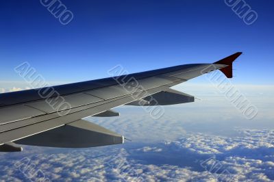 Wing of the plane