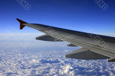Wing of the plane