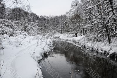 Winter wood