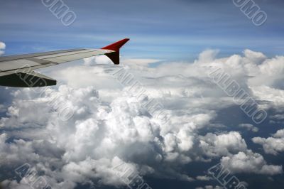 Wing of the plane