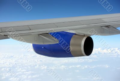 Wing of the plane