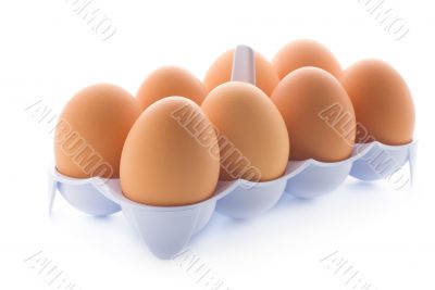 eggs in the tray