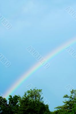 Rainbow with blue skies and trees