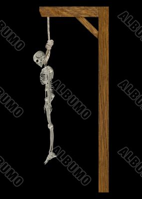 Hanging Skeleton