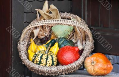 Vegetable Basket