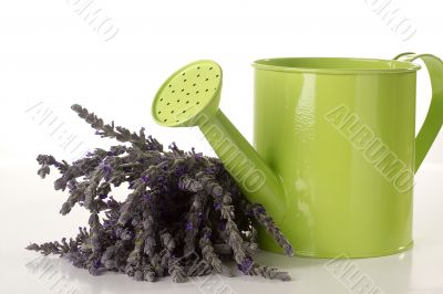 Lavender and Watering Can