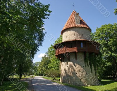 Defensive tower