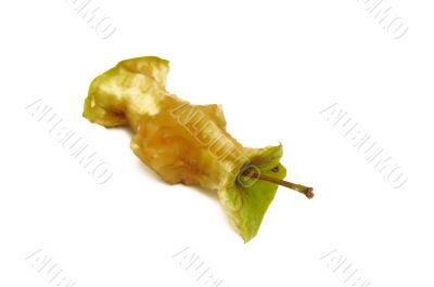 apple core on a white background