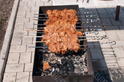 kebab of pork with onions