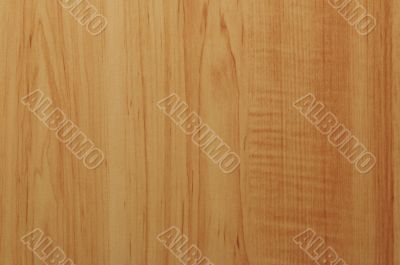 abstract background texture of natural wood