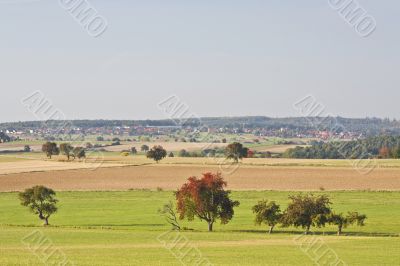 Autumn Landscape