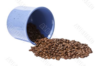 Coffee Bean
