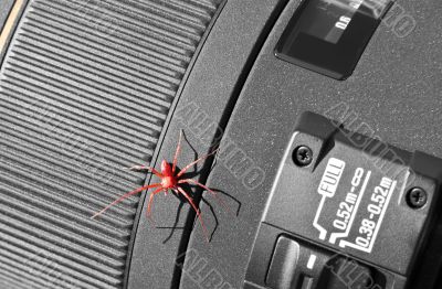 Red Spider