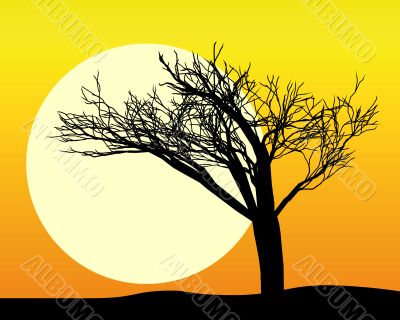 black silhouette of a tree 