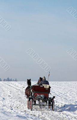 Horse-Drawn Carriage