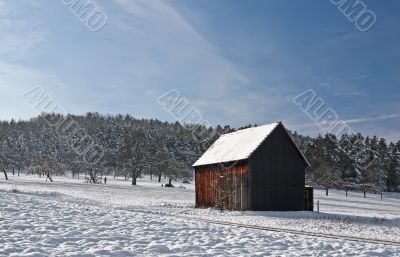 Cabin in Winter