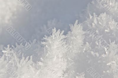 Snow Crystal