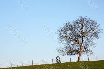 Mountain Biking