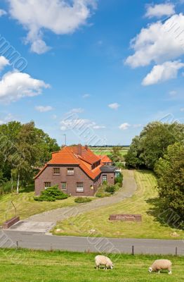 Rural House