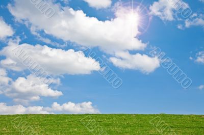 Meadow with Sky