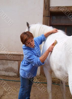  The girl cleans a horse.