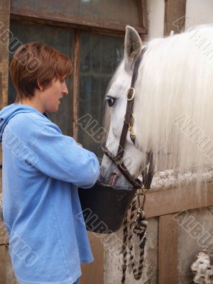 The girl waters the horse