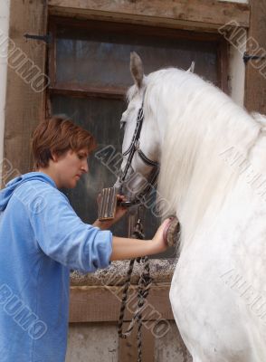 Rubdown at the stables. 