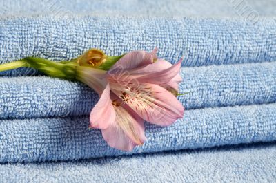 Blue towels with flower