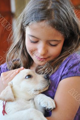 puppy labrador retriever and little girl