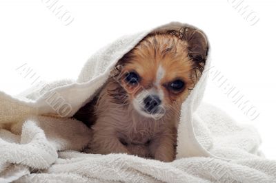 after bath
