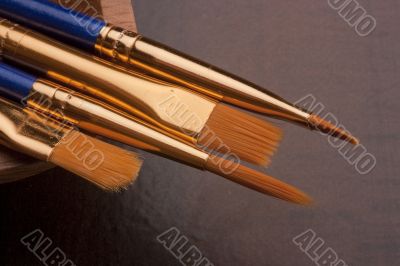 Brushes