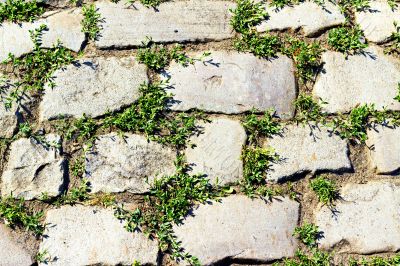 stone pavement with grass 